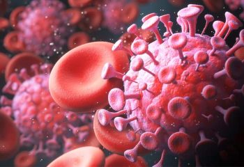 H5N8 tem potencial para se tornar nova pandemia dizem cientistas